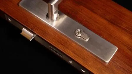 High Quality 304 Stainless Steel Solid Casting Door Lever Sf001