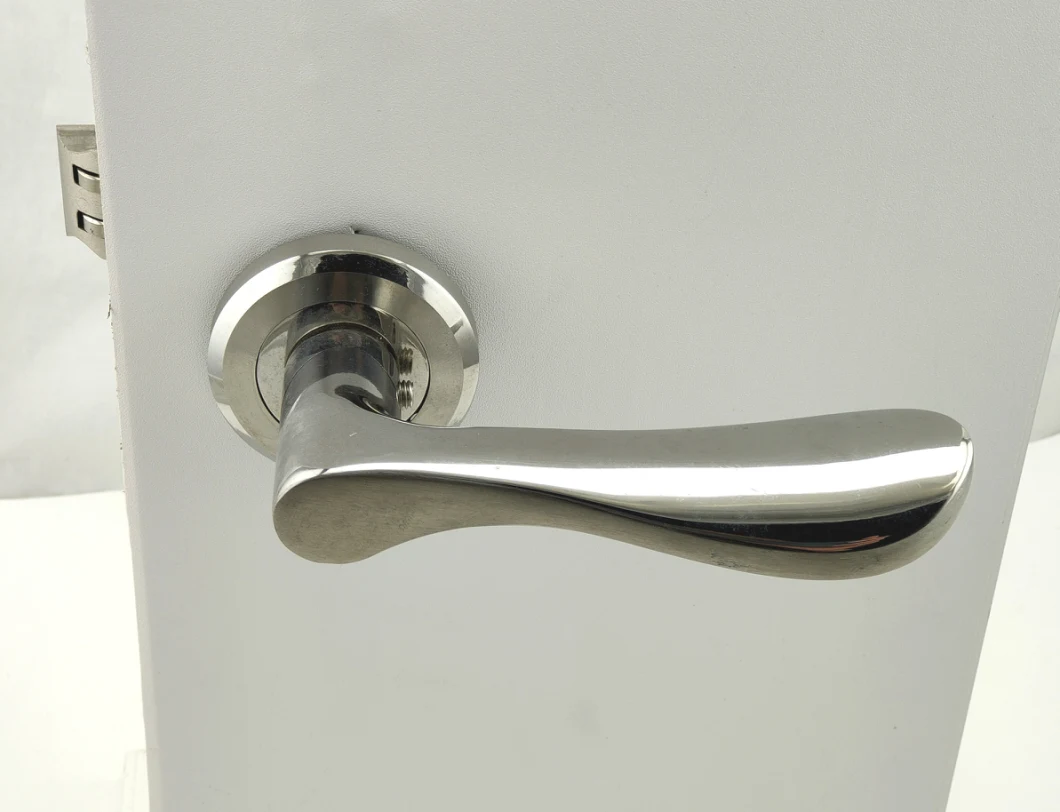 High Quality Stainless Steel Hollow Tube Lever Handle (X555X31 SS)