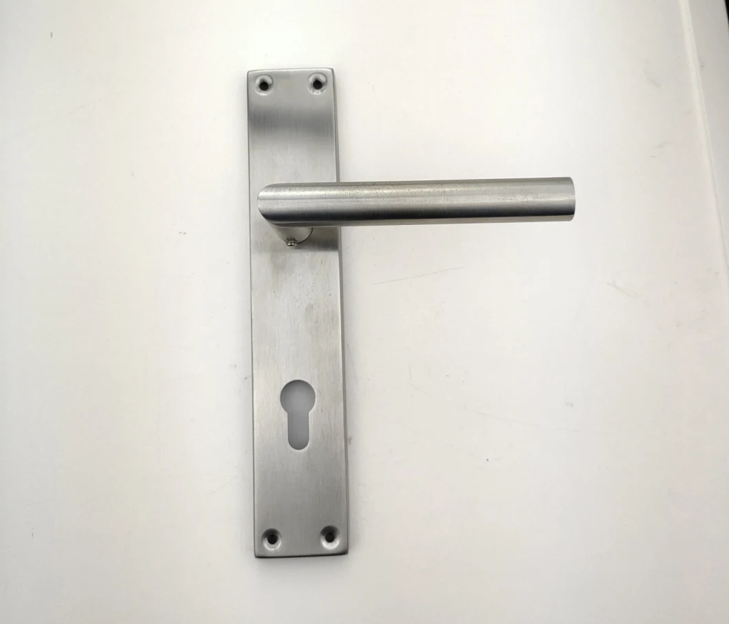 Stainless Steel Hollow Tube Lever on Plate Door Handle (SS0203)